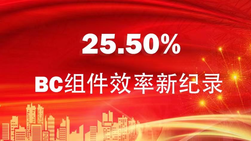 BC组件效率25.50%！金石能源混淆型BC组件再立异纪录